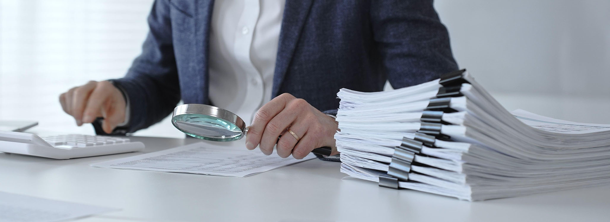 audit representation services